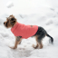 Зимняя куртка (жилетка) для выгула собак Hitvest S розовый-4