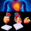 Анатомическая модель сердца человека Bone NumbX1 пронумерованная-5